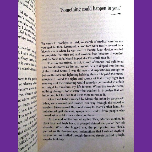 Book: Almost a Woman, by Esmeralda Santiago - Picture 5 of 11